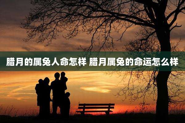 腊月的属兔人命怎样 腊月属兔的命运怎么样