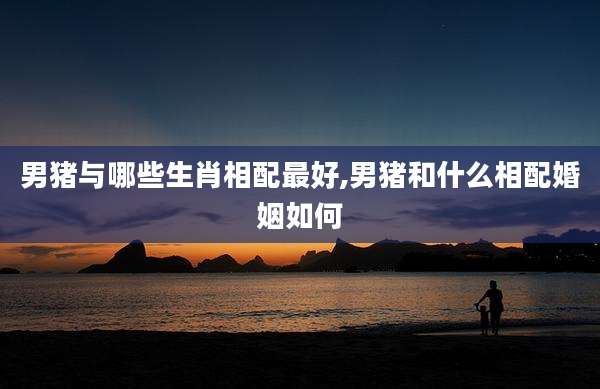 男猪与哪些生肖相配最好,男猪和什么相配婚姻如何
