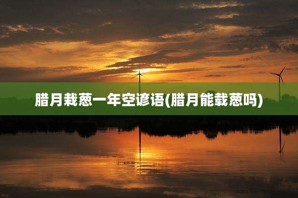 腊月栽葱一年空谚语(腊月能载葱吗)