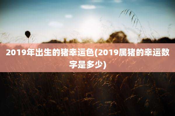 2019年出生的猪幸运色(2019属猪的幸运数字是多少)