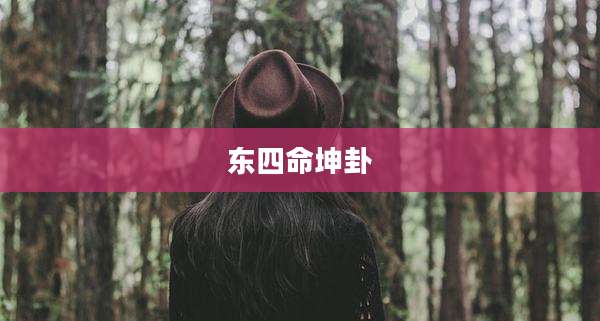 东四命坤卦