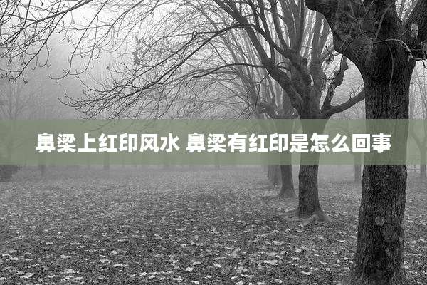 鼻梁上红印风水 鼻梁有红印是怎么回事