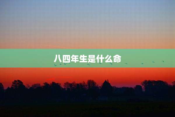 八四年生是什么命