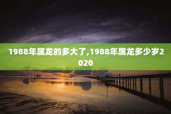 1988年属龙的多大了,1988年属龙多少岁2020