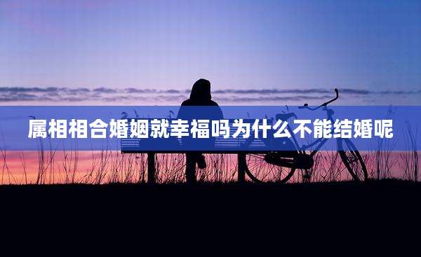 属相相合婚姻就幸福吗为什么不能结婚呢