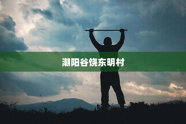 潮阳谷饶东明村