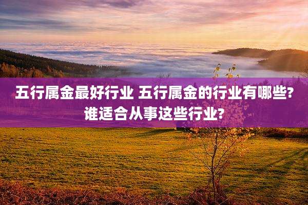 五行属金最好行业 五行属金的行业有哪些?谁适合从事这些行业?