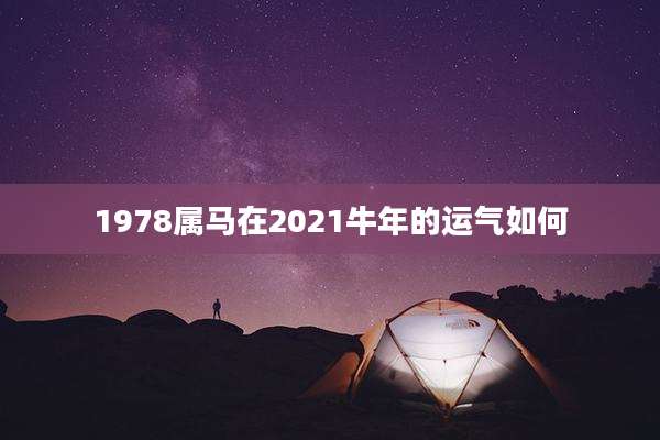1978属马在2021牛年的运气如何