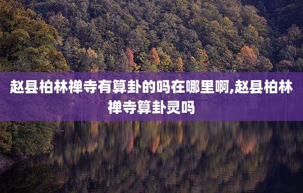 赵县柏林禅寺有算卦的吗在哪里啊,赵县柏林禅寺算卦灵吗