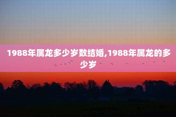 1988年属龙多少岁数结婚,1988年属龙的多少岁