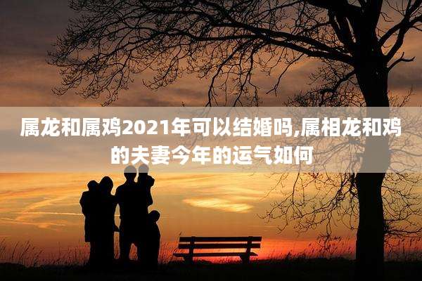 属龙和属鸡2021年可以结婚吗,属相龙和鸡的夫妻今年的运气如何