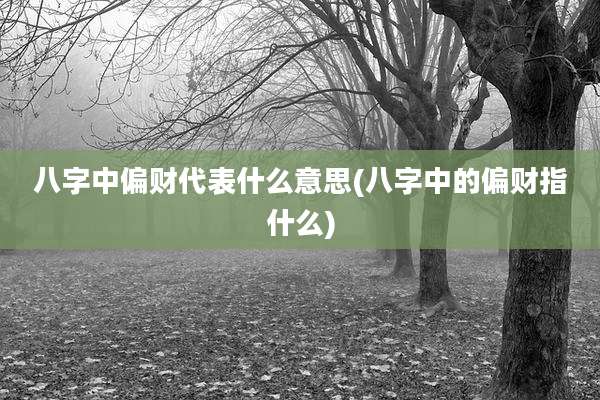 八字中偏财代表什么意思(八字中的偏财指什么)
