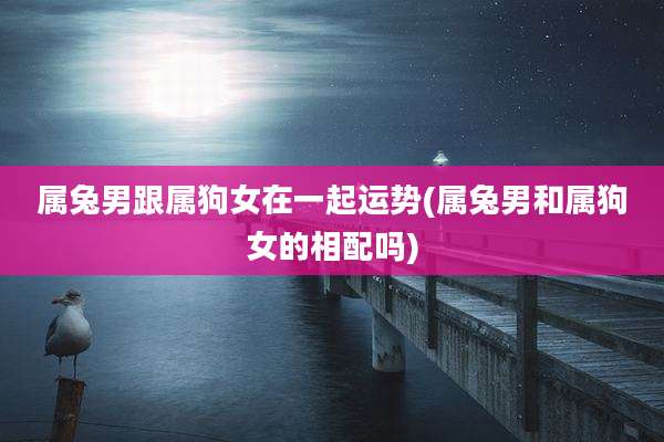属兔男跟属狗女在一起运势(属兔男和属狗女的相配吗)