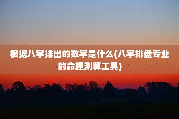 根据八字排出的数字是什么(八字排盘专业的命理测算工具)