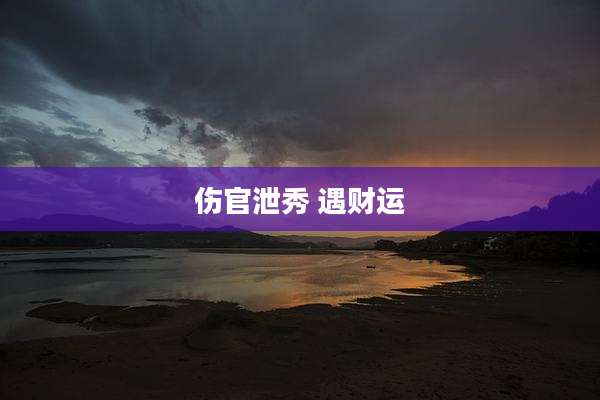 伤官泄秀 遇财运