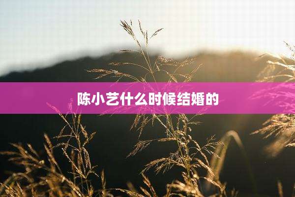 陈小艺什么时候结婚的