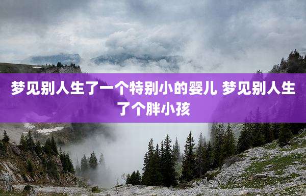 梦见别人生了一个特别小的婴儿 梦见别人生了个胖小孩