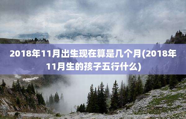 2018年11月出生现在算是几个月(2018年11月生的孩子五行什么)