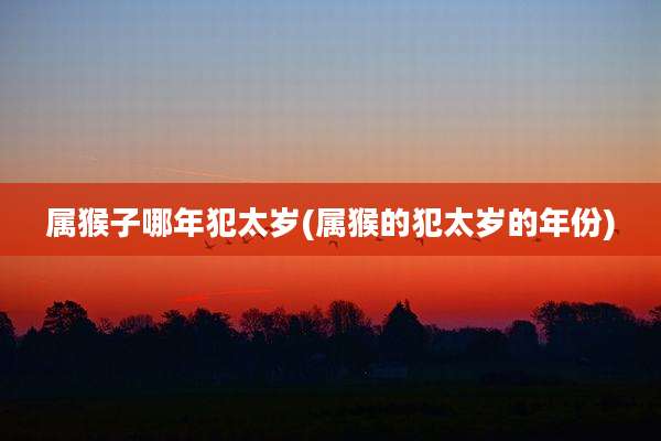 属猴子哪年犯太岁(属猴的犯太岁的年份)