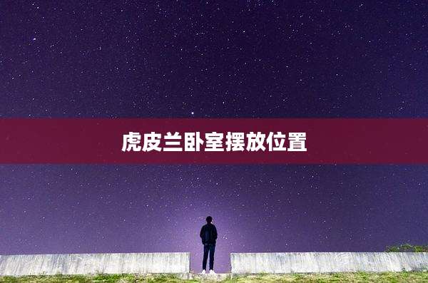 虎皮兰卧室摆放位置
