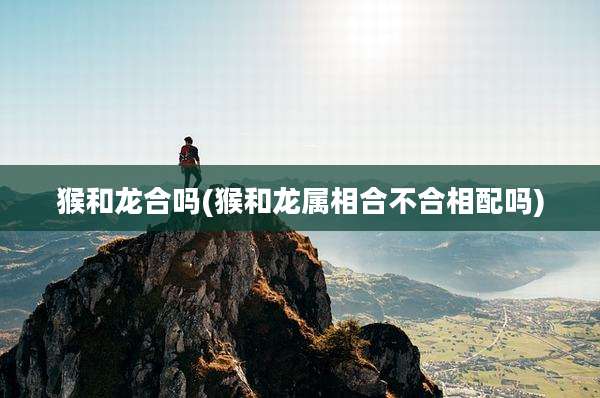猴和龙合吗(猴和龙属相合不合相配吗)