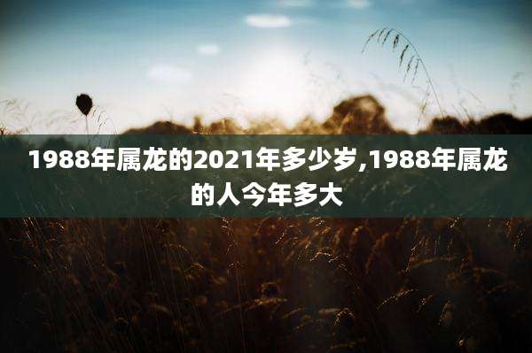 1988年属龙的2021年多少岁,1988年属龙的人今年多大
