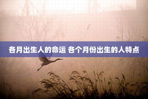 各月出生人的命运 各个月份出生的人特点