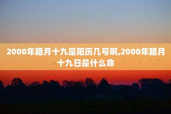 2000年腊月十九是阳历几号啊,2000年腊月十九日是什么命