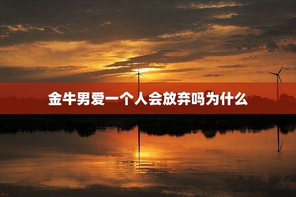 金牛男爱一个人会放弃吗为什么