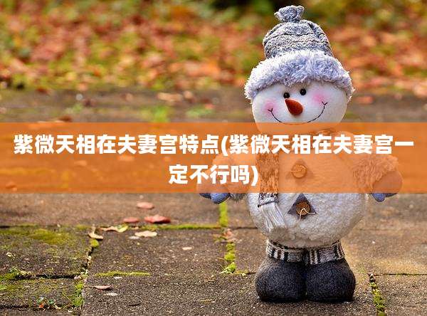 紫微天相在夫妻宫特点(紫微天相在夫妻宫一定不行吗)