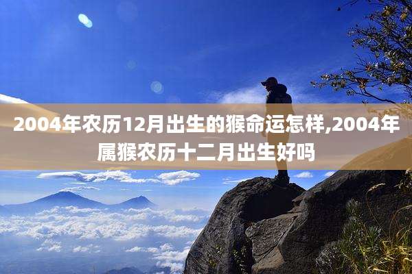2004年农历12月出生的猴命运怎样,2004年属猴农历十二月出生好吗
