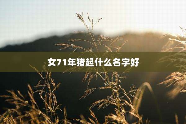 女71年猪起什么名字好