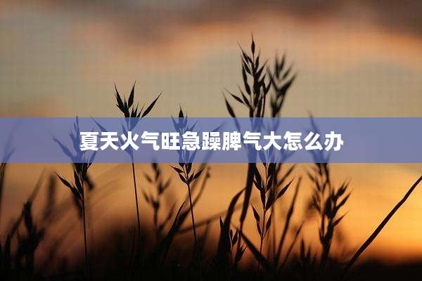 夏天火气旺急躁脾气大怎么办