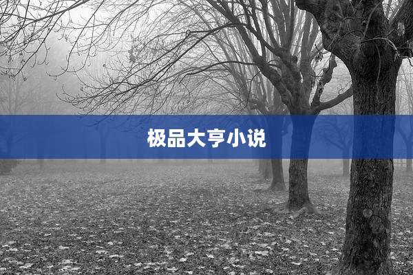 极品大亨小说