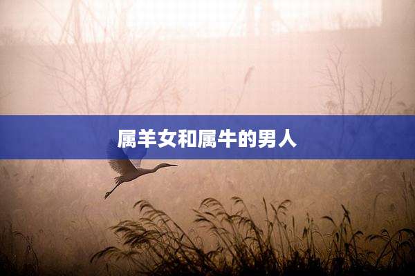 属羊女和属牛的男人