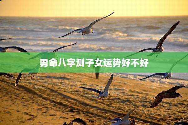 男命八字测子女运势好不好