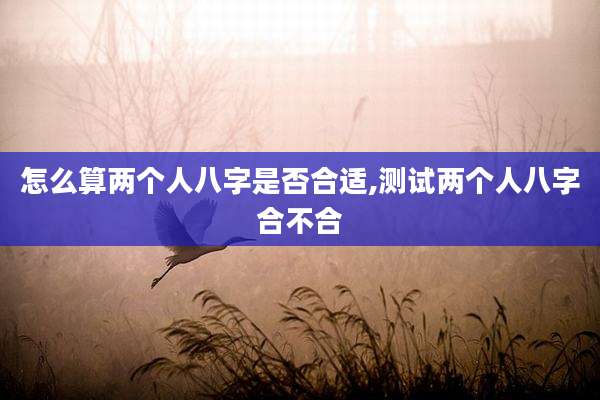 怎么算两个人八字是否合适,测试两个人八字合不合