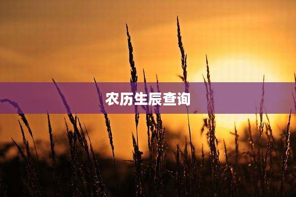 农历生辰查询