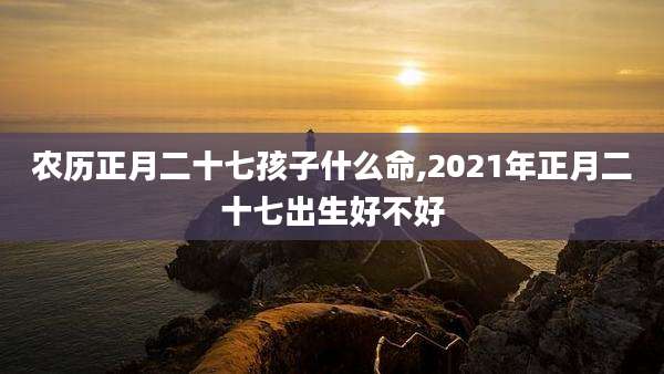 农历正月二十七孩子什么命,2021年正月二十七出生好不好
