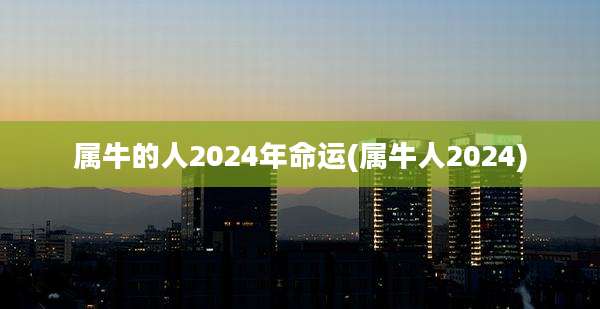 属牛的人2024年命运(属牛人2024)