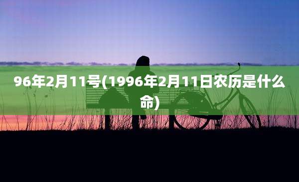 96年2月11号(1996年2月11日农历是什么命)