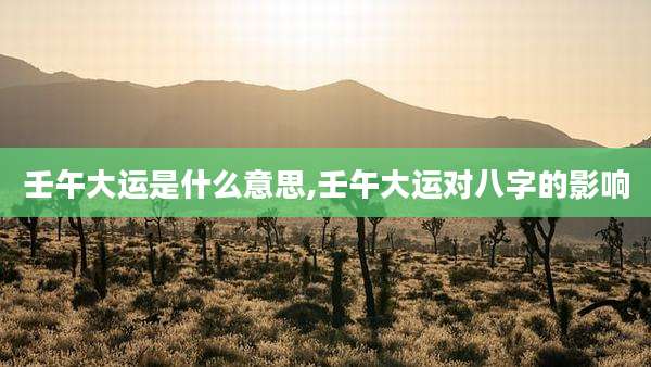 壬午大运是什么意思,壬午大运对八字的影响