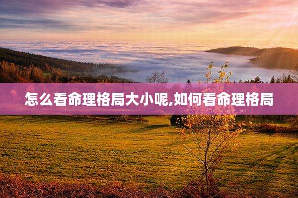 怎么看命理格局大小呢,如何看命理格局