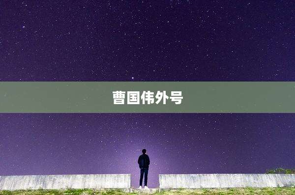 曹国伟外号