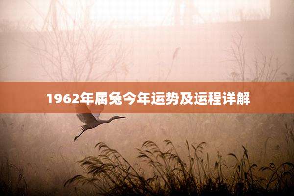 1962年属兔今年运势及运程详解