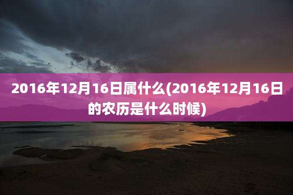 2016年12月16日属什么(2016年12月16日的农历是什么时候)