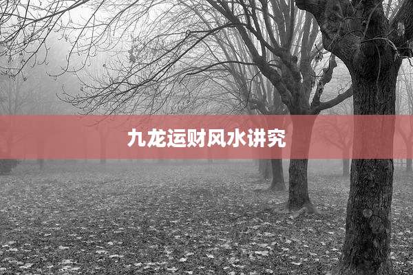 九龙运财风水讲究