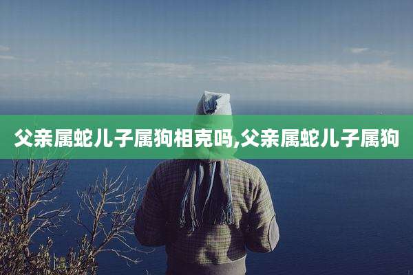 父亲属蛇儿子属狗相克吗,父亲属蛇儿子属狗