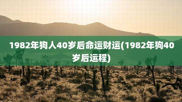 1982年狗人40岁后命运财运(1982年狗40岁后运程)