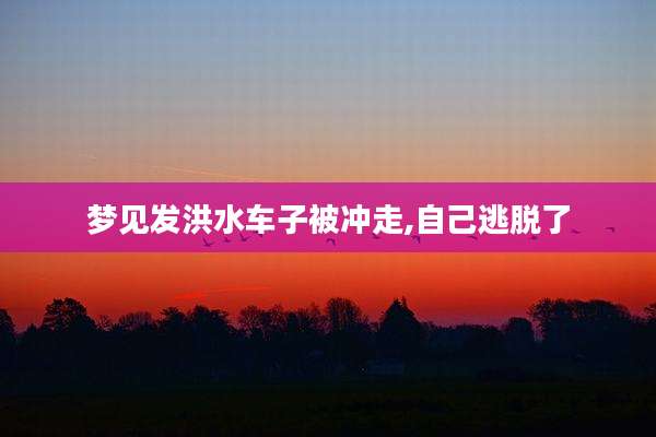 梦见发洪水车子被冲走,自己逃脱了